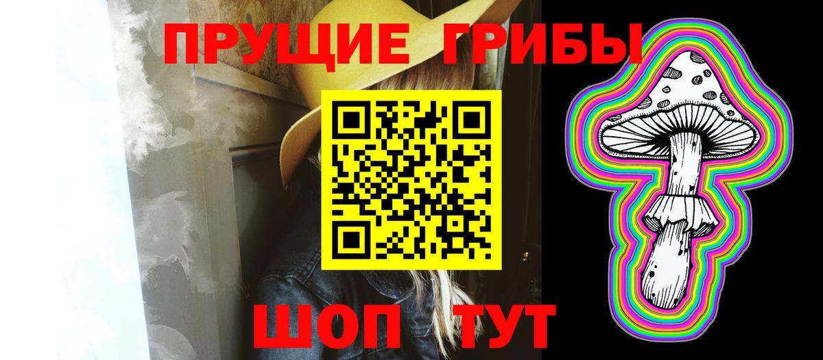 Азнакаево  Галлюциногенные грибы Psilocybine cubensis  Галлюциногенные грибы мицелий  Вход с VPN 